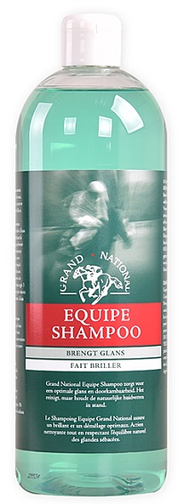 GN EQUIPE SHAMPOO 1 LTR