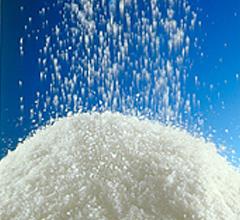 SPEERSTRA BYPASS FAT GMO CONTROLLED*