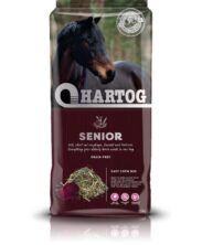 HARTOG SENIOR