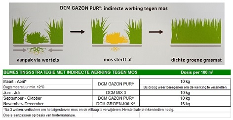 DCM GAZON PUR (minigran) + Anti Mos 25 kg - Afbeelding 2