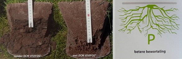 DCM VIVIFOS P30 Minigran - Afbeelding 2